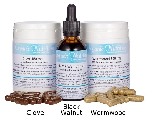 clove black walnut tincture and wormwood herbs in a kit