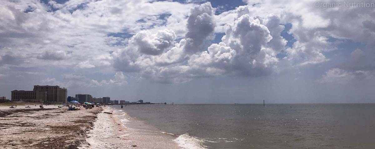 Skyscrapers on a moody beach