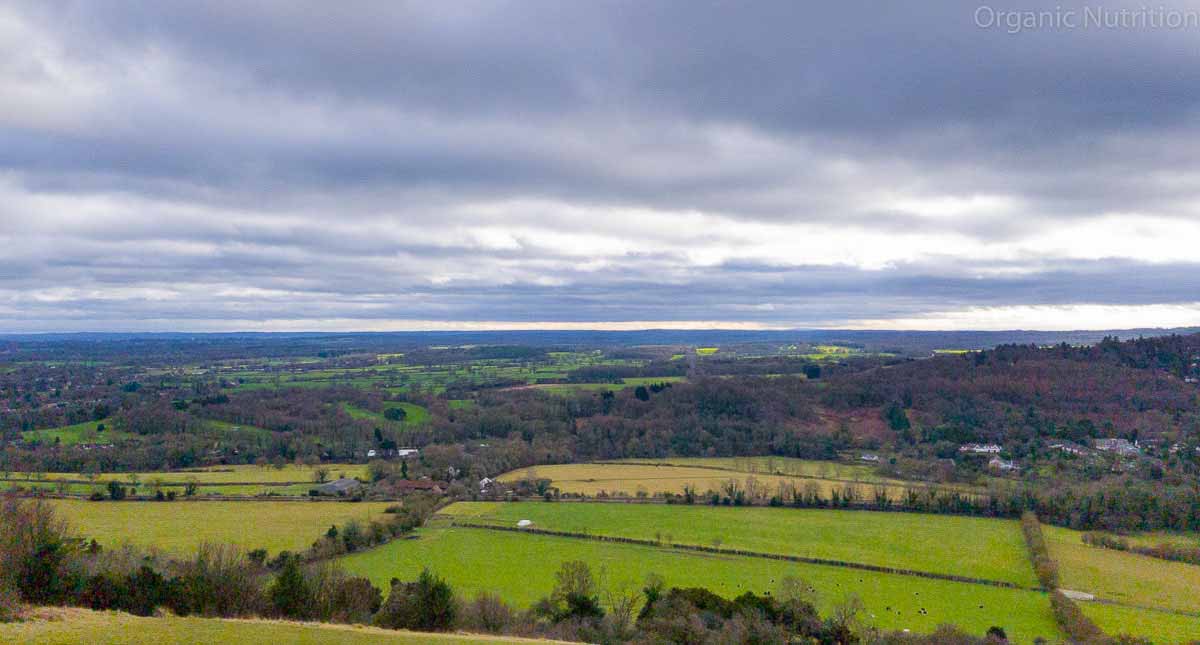 nature view