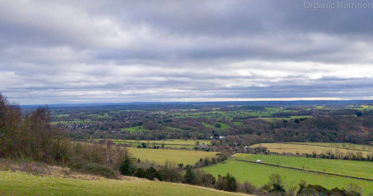 spacious landscape