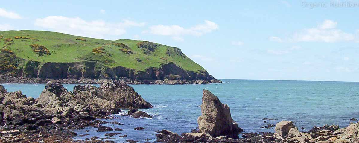 Dramatic jagged rocks on a beach