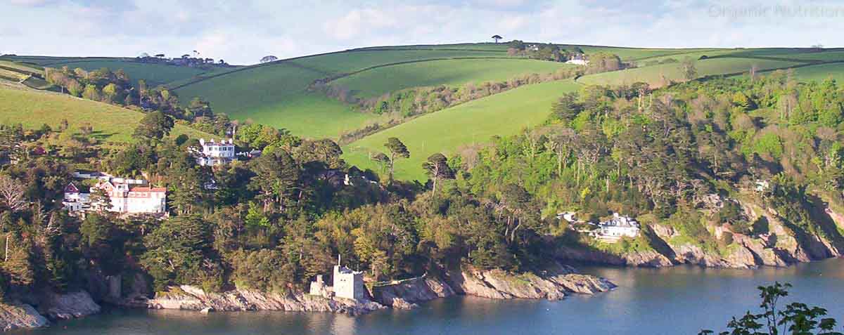 strong cliffs and castle foundations