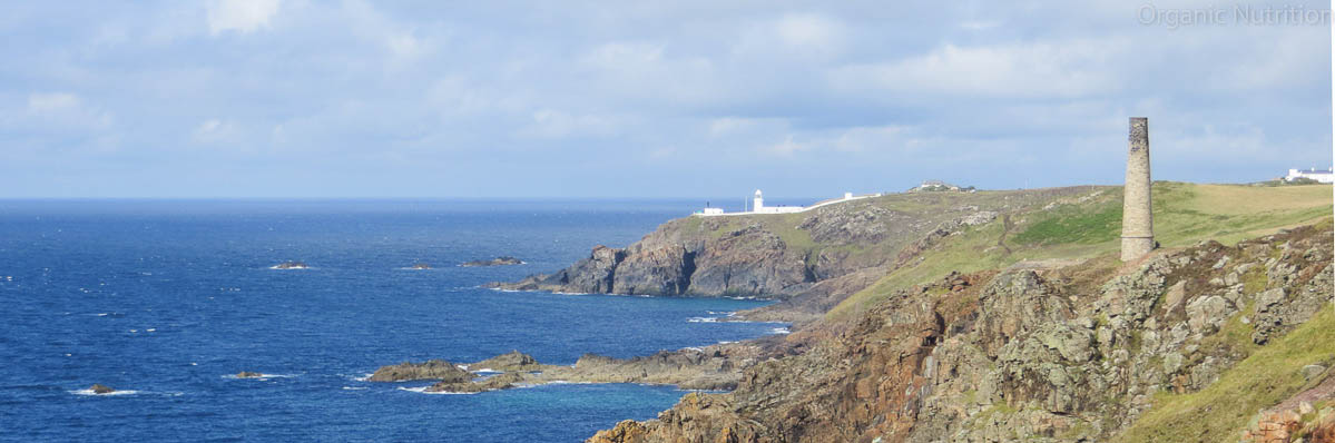 chimney sticking up on cliff