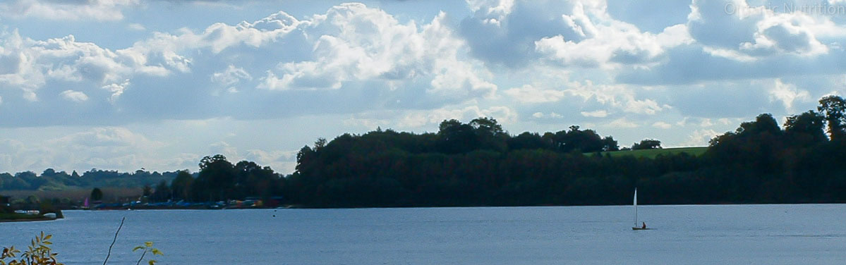 large lake of water