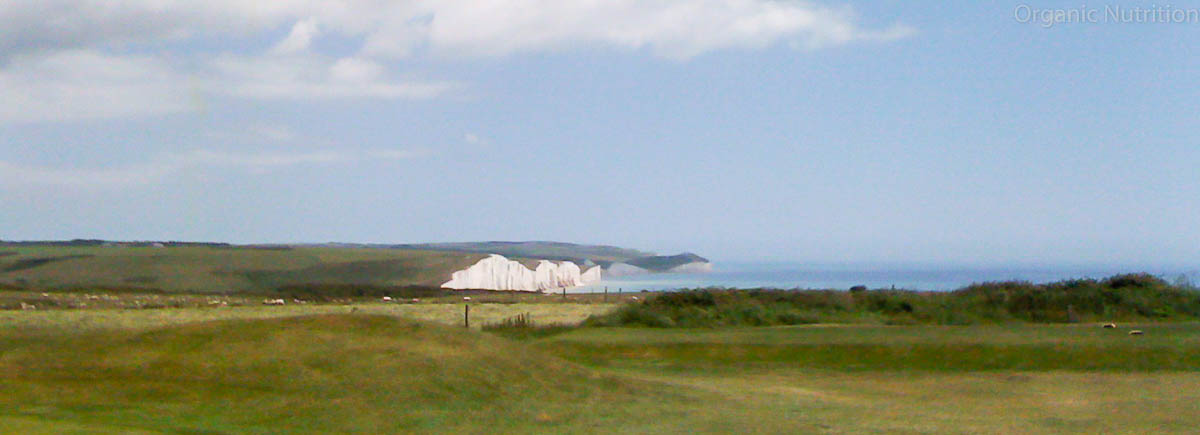 Head out for a nice walk along cliff paths