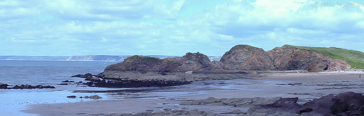 A tide's ebb and flow cleans the beach