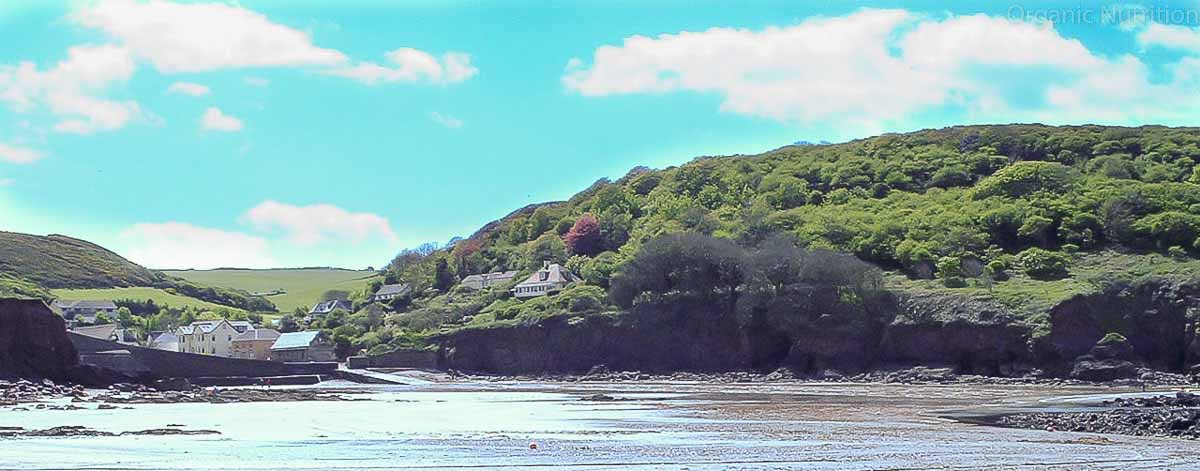 A wild coastline and bay