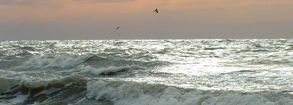 Inspiring beach and waves