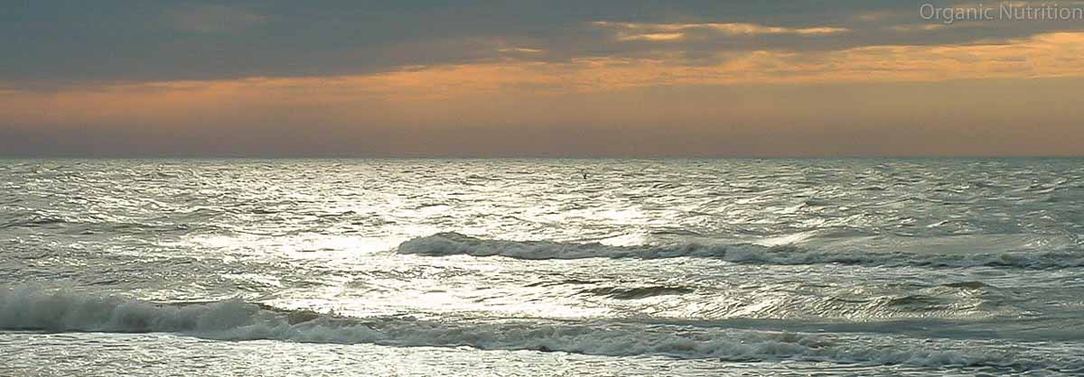 Stunning beach at sunset