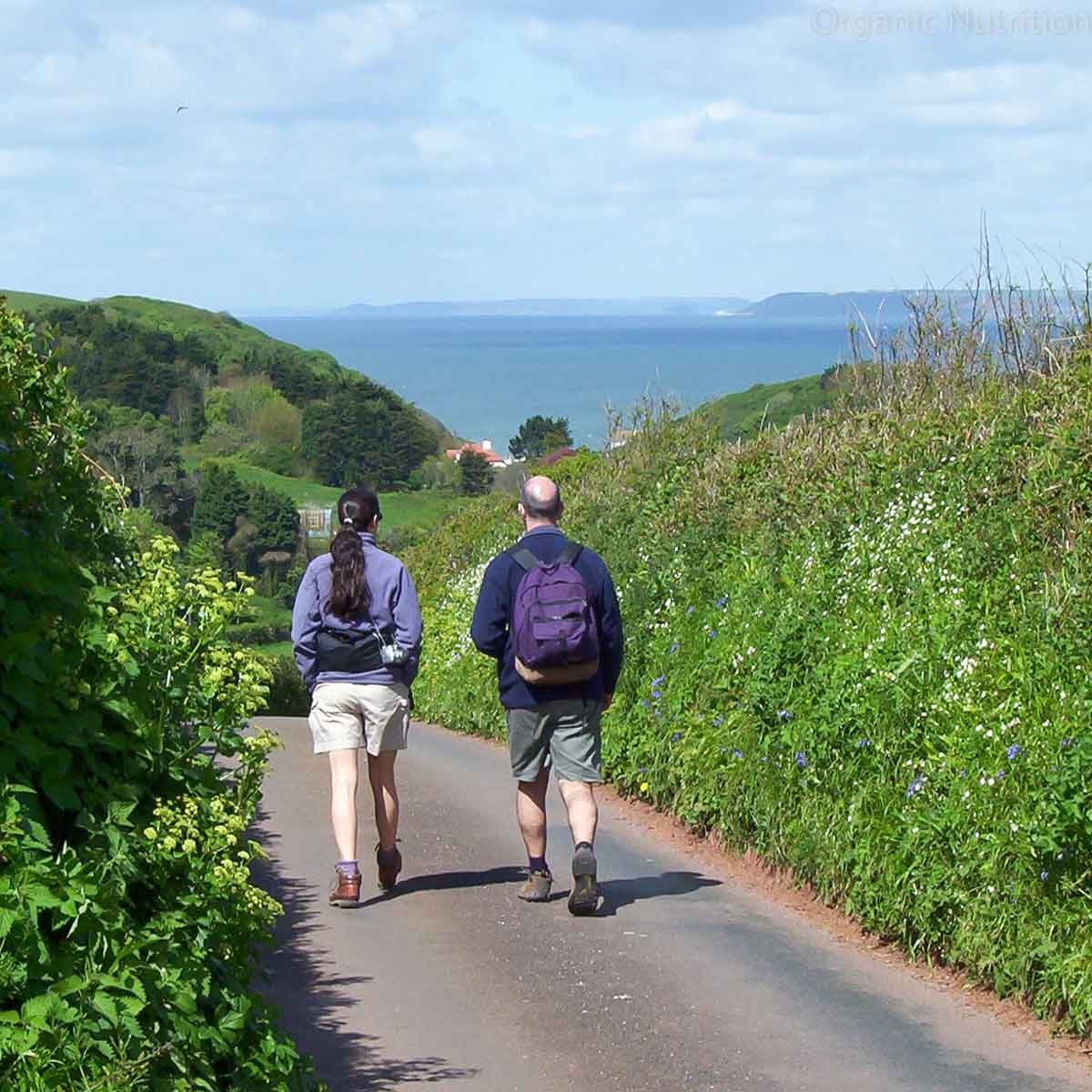 Walking promotes healthy cells