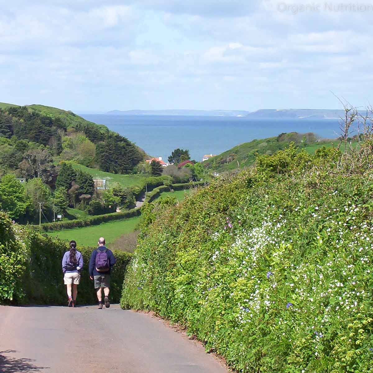 An energetic walk