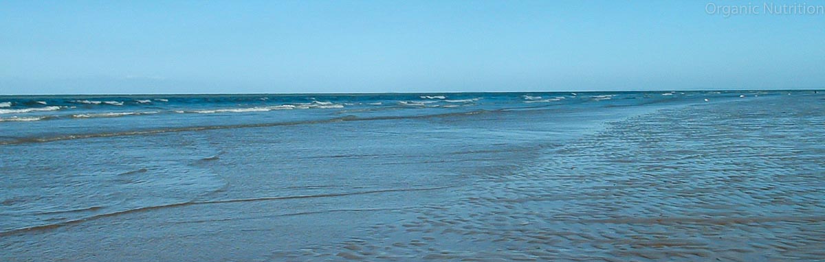 waves lapping gently on a beach