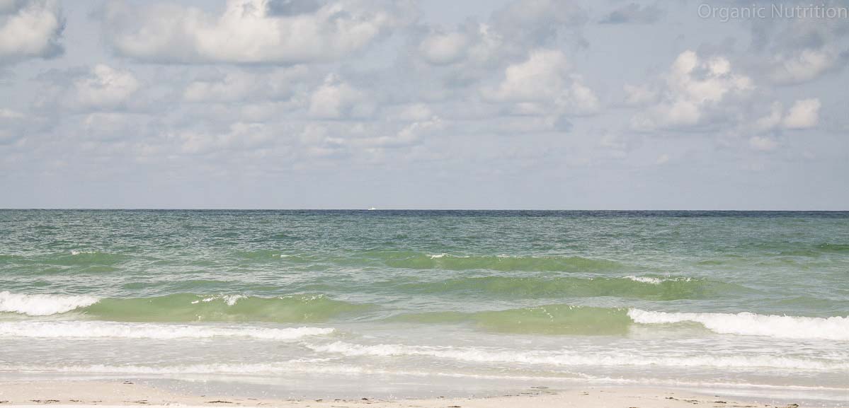 waves sneaking up on the beach