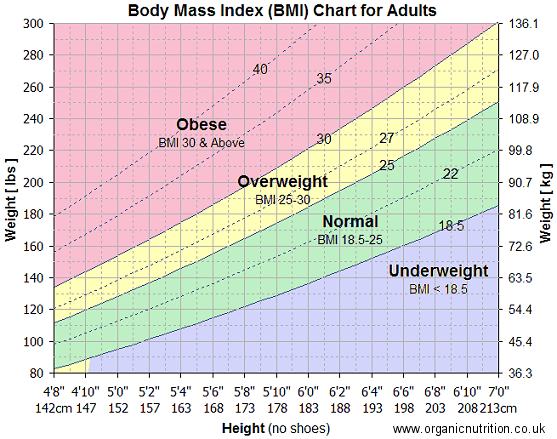 Bmi Chart Overweight