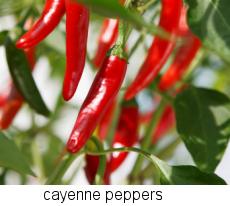 cayenne peppers