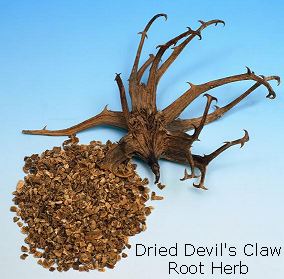 devils claw herb