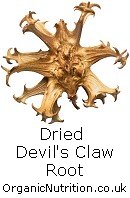 devils claw