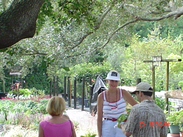 Florida herb gardens