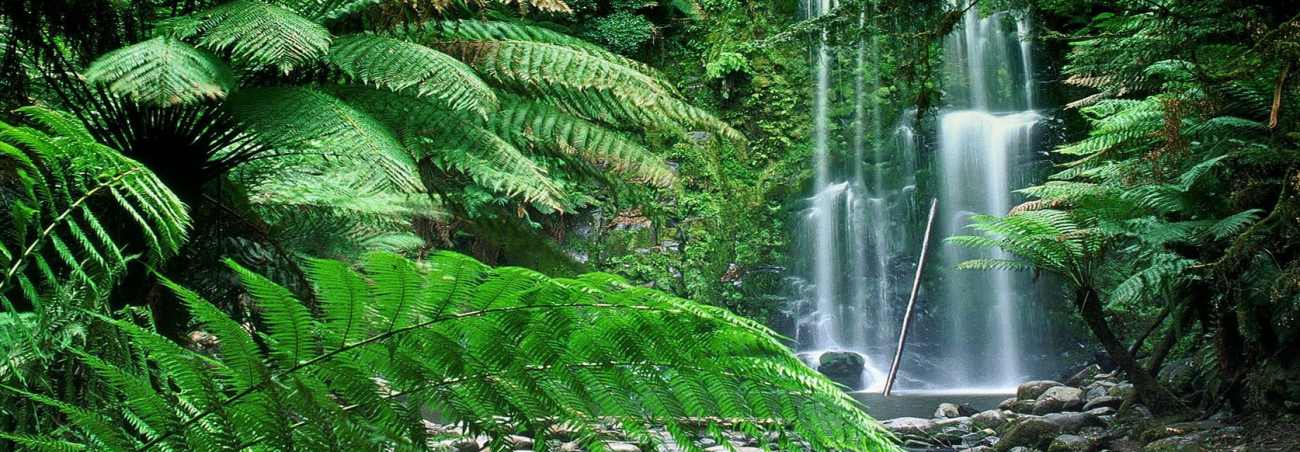 Fresh water cascading down a waterfall.